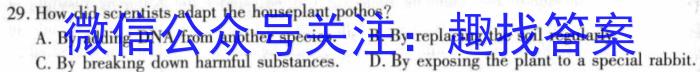 2022-2023学年湖南省高二试卷7月联考(23-573B)英语
