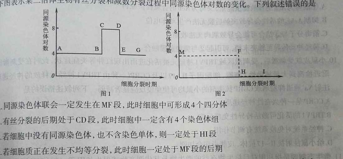 2024届名师原创分科模拟(六)ZS4数学考试