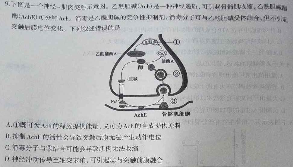 巴东县第三高级中学高一下期末考试(231803Z)数学考试