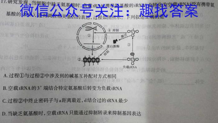 皖淮名校联盟2022~2023学年度第二学期高一联考(23-463A)数学