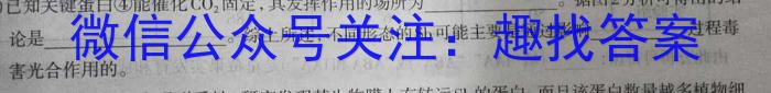 2024届衡水金卷 高三3月大联考(新教材)数学