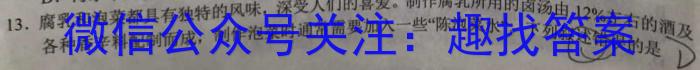 安徽省2023-2024学年第二学期七年级阶段巩固练习数学