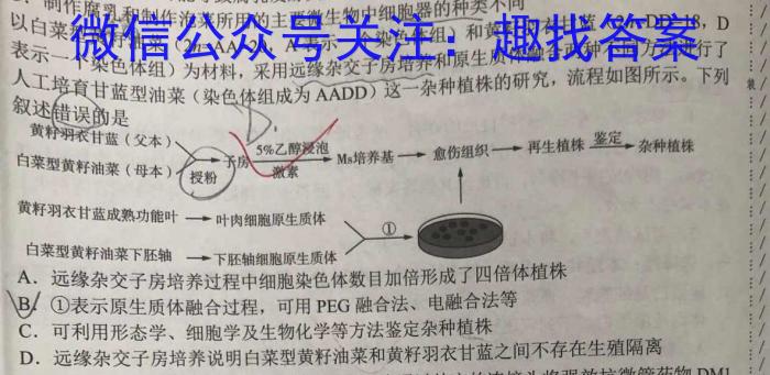 金科大联考·2023~2024学年度高一下学期第一次质量检测(24482A)数学