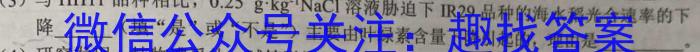 武汉市常青联合体2023-2024学年度第二学期期中考试（高一）数学