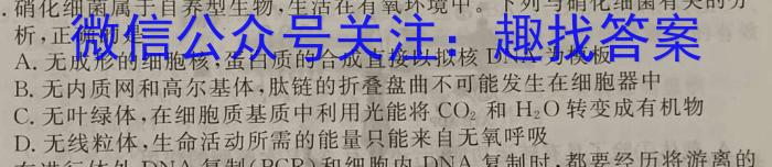 2022~2023学年(下)河南省高一6月“双新”大联考数学