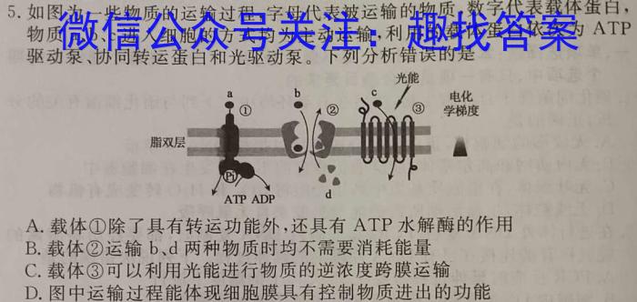 江西省2024届九年级阶段评估(一)[1L R]数学