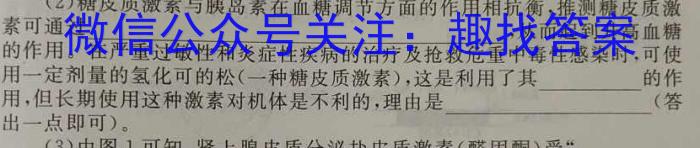 天一大联考·河南省2023-2024学年高二基础年级阶段性测试（期中上）数学