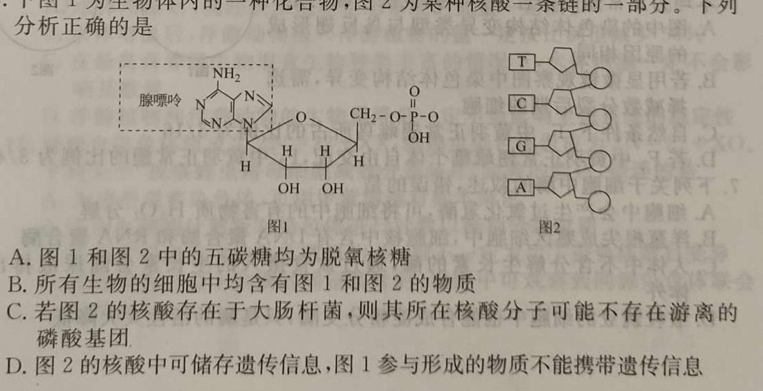新余市2022-2023学年度高二下学期期末质量检测(6月)生物