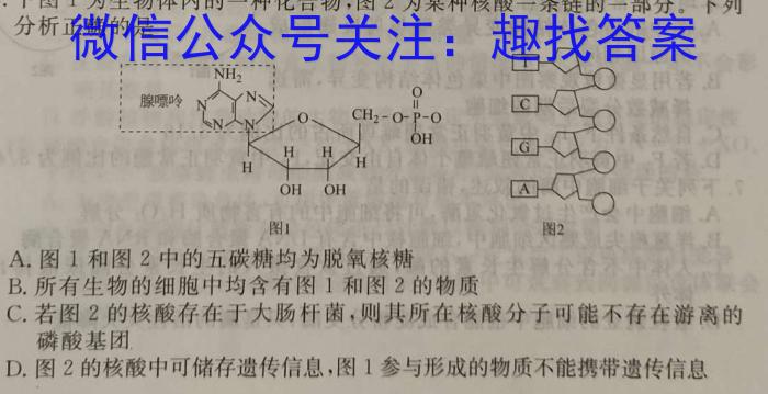 树德立品 2024届四七九名校联测卷(二)2数学