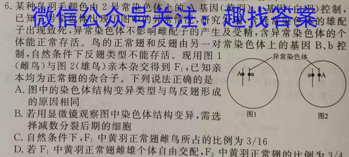 江西省2024年中考总复习·冲刺卷(二)2数学