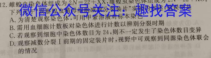 北镇三高2023-2024学年度高三年级第一学期第四次考试数学