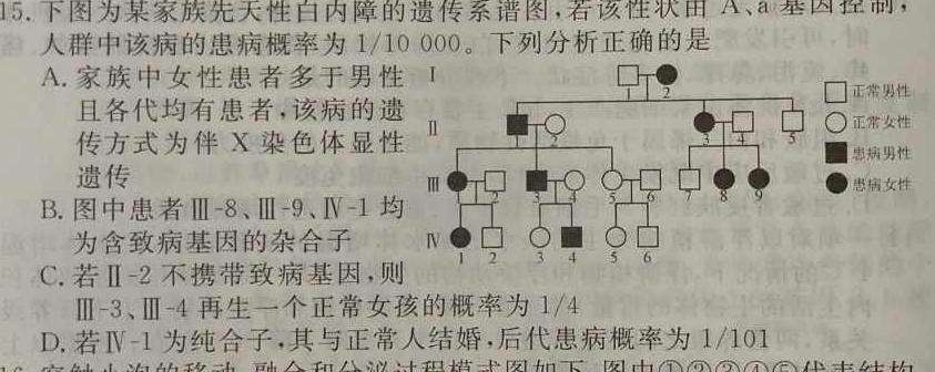 河南省焦作市普通高中2022-2023学年高一下学期期末考试数学考试