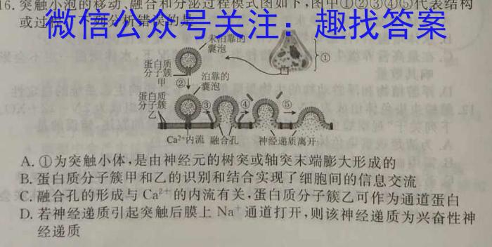 安徽省淮北市2024届高三第一次质量检测数学