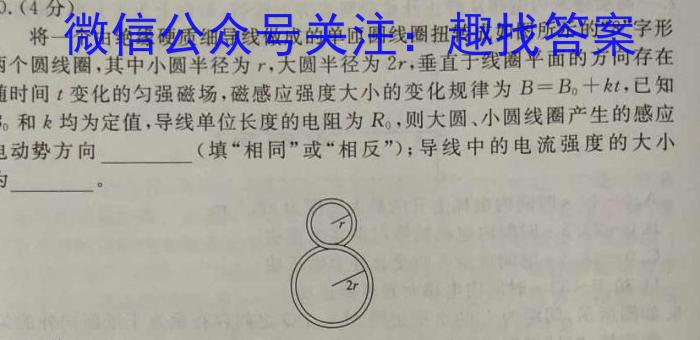 中考模拟压轴系列 2023年河北省中考适应性模拟检测(夺冠一)物理`