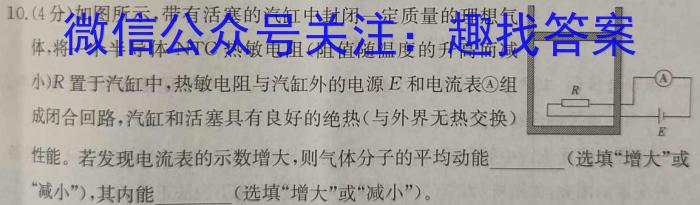 云南师大附中(云南省)2023届高考适应性月考卷(白白黑白黑白白白)(十).物理