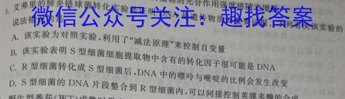 百师联盟2024届高三开学摸底联考（新高考75分钟）数学