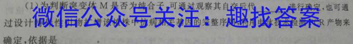 河南省名校联盟2022~2023学年高三下学期5月联考(2023.5)(3493C)数学