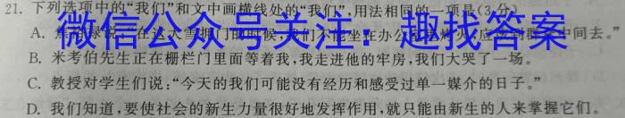 安徽省六安市金寨县2022-2023学年度八年级第二学期期末质量监测语文