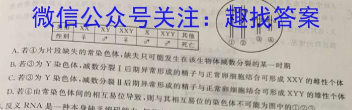 巴蜀中学2024届高考适应性月考卷（六）数学