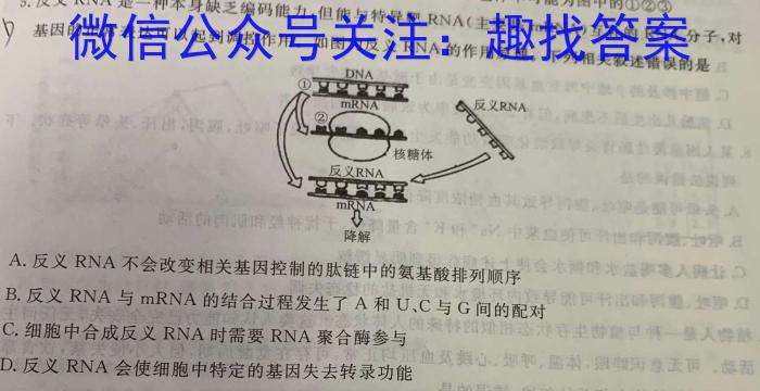 2024年山西省中考第一次调研考试数学