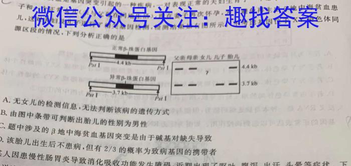 安徽省2024届毕业班适应性考试数学