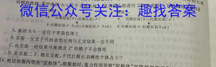 天一大联考 2022-2023学年高二阶段性测试(四)数学