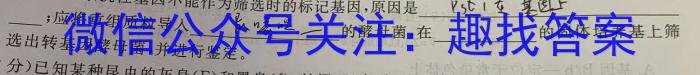 2024届NT普通高等学校招生全国统一考NT精准模拟卷(一)数学