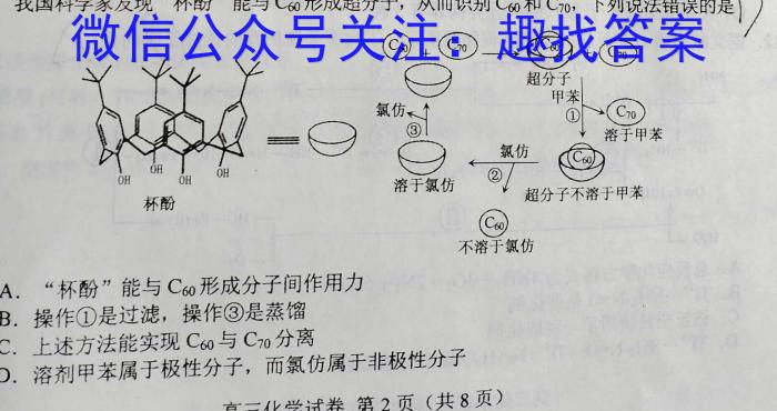 2023届安徽省中考联盟压轴卷(三个黑三角)化学