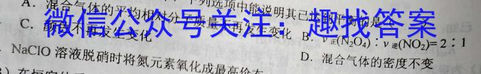 2023年全国普通高等学校统一招生考试 考前检测试卷(新高考)(二)2化学