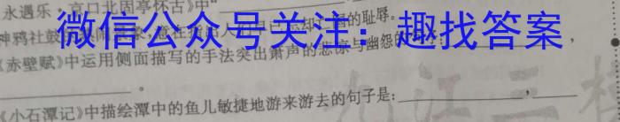 2023年山西省中考信息冲刺卷·压轴与预测(二)语文
