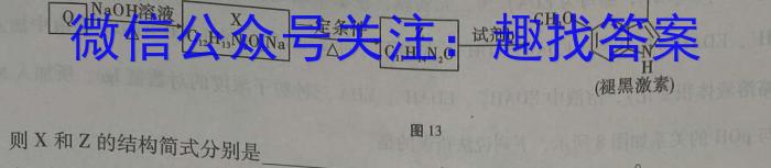 江西省2023年初中学业水平考试冲刺练习（三）化学