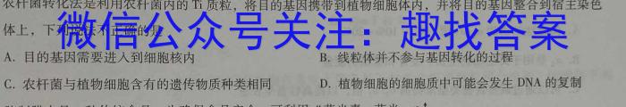 2024届云南省高一期末模拟考试卷(24-272A)数学