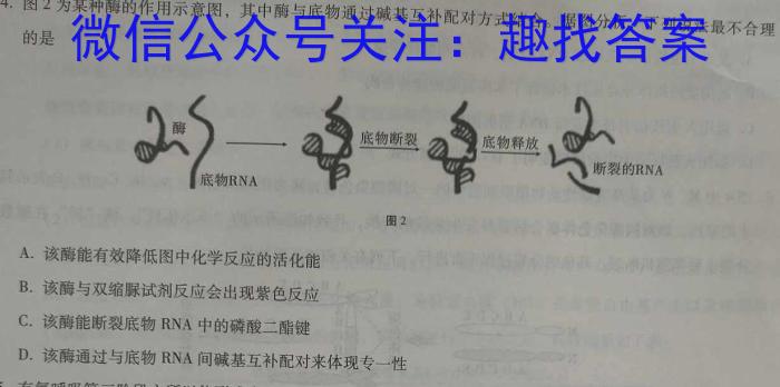 文博志鸿 2023年河南省普通高中招生考试模拟试卷(压轴二)生物