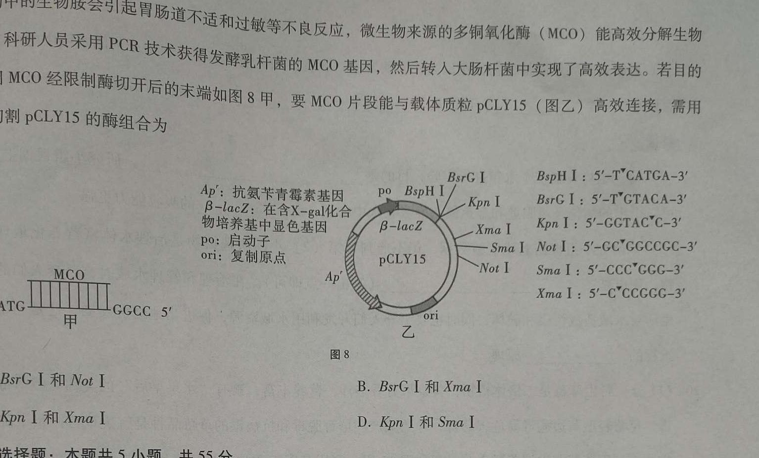 名校之约系列 2023届高三高考精准备考押题卷(一)数学考试