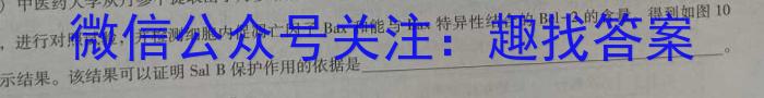 山西省晋城市阳城县2022-2023学年八年级第二学期学业质量监测数学