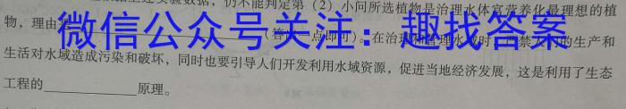 2024年河南省普通高中招生模拟压轴考试试卷（二）数学