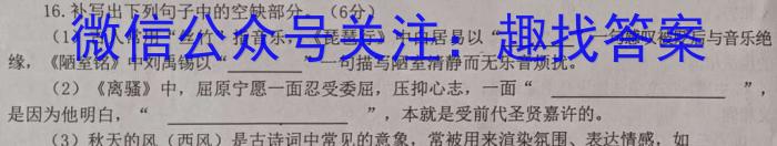 河南省安阳市滑县2022-2023学年高二下学期期末测评试卷语文