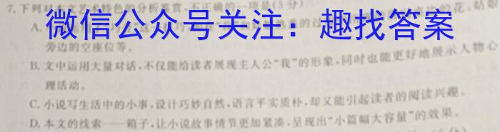 耀正文化 合肥八中2023届最后一卷语文