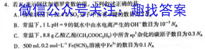 2023年陕西省初中学业水平考试信息卷(C)化学