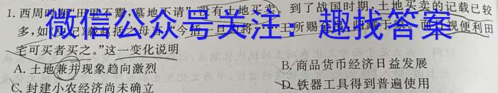 安徽省2022-2023学年度第二学期九年级作业辅导练习历史