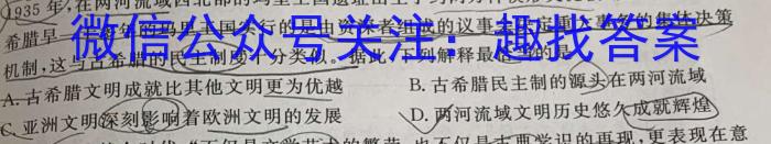 河南省2024~2023学年度八年级下学期阶段评估(二) 7L R-HEN历史