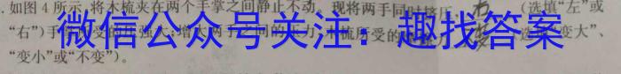 安徽第一卷·2022-2023学年安徽省八年级下学期阶段性质量监测(七)物理`