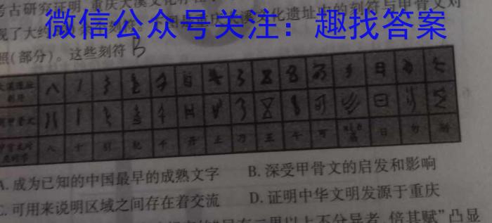 天一大联考 2022-2023学年高三考前定位考试历史