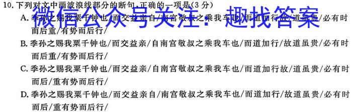 武汉市2023届高三五月模拟训练试题(2023.5.24)语文