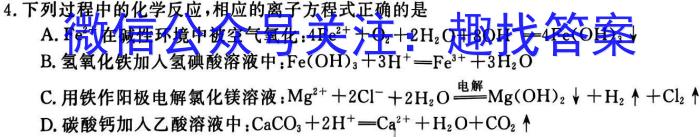 2023年普通高等学校招生伯乐马押题考试(二)化学