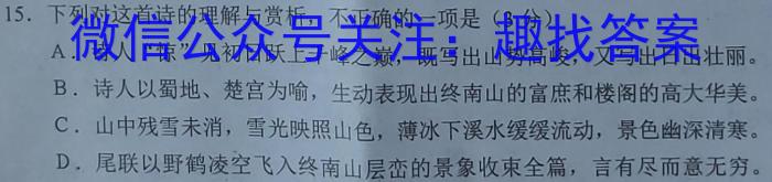 安徽省2023年中考试题猜想(AH)语文