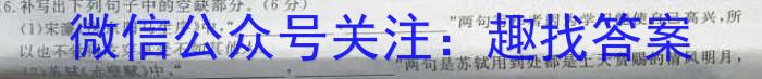 百校联盟2024届TOP300尖子生联考(2023年6月联考)高二语文