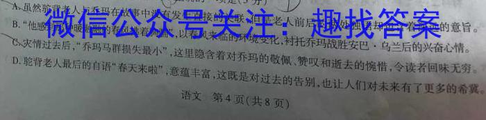 2023年普通高等学校招生全国统一考试精品预测卷(二)语文