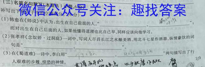 河南省洛阳创新发展联盟2024届高三阶段性检测(23-583C)语文