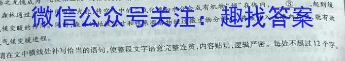 马鞍山市2022-2023学年高一年级第二学期期末教学质量监测语文